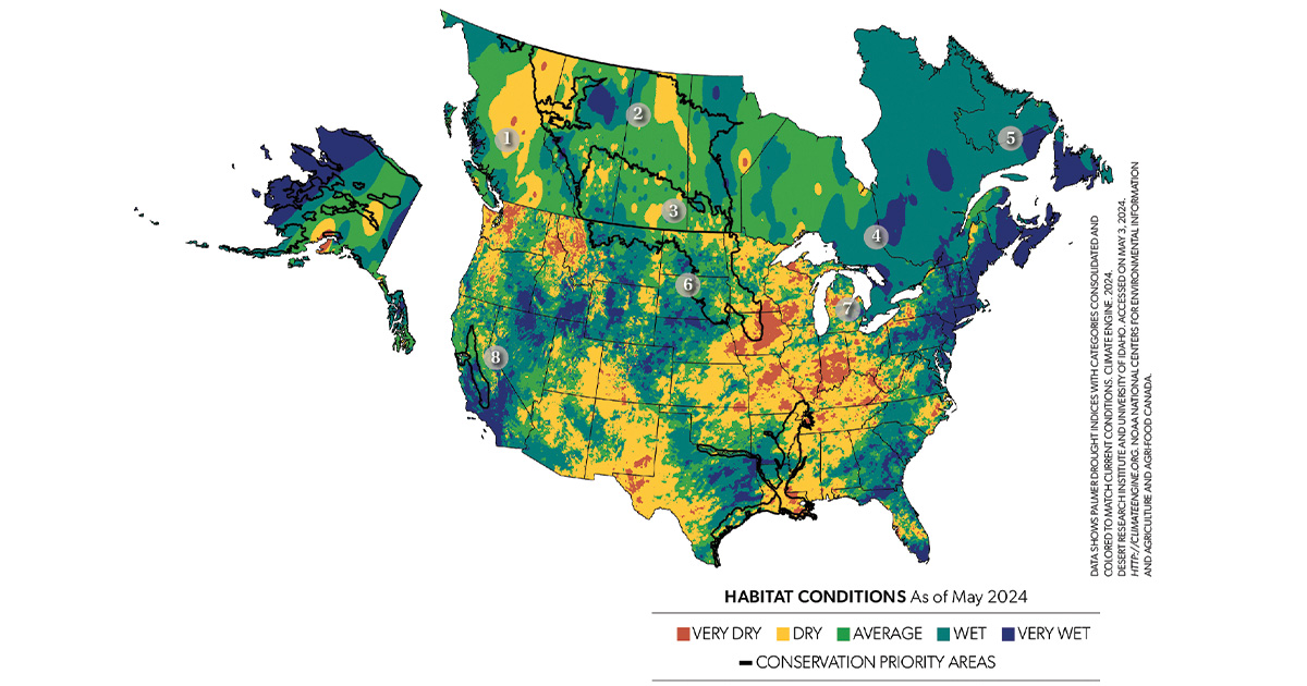 2024 Duck Production Outlook.jpg